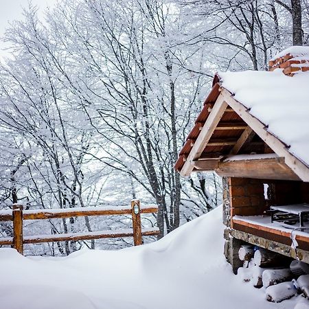 Holiday Home Floris コパオニク エクステリア 写真